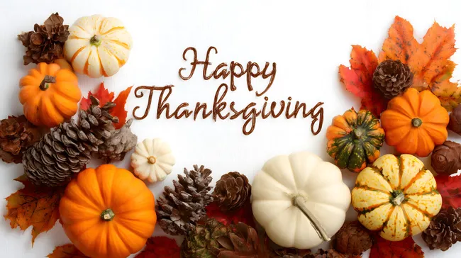 Kreative Herbst-Dekoration mit Kürbissen und Zapfen