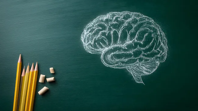 Kreideskizze eines menschlichen Gehirns auf Tafel