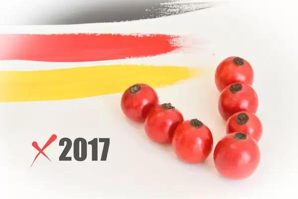 Kreuz machen bei der Bundestagswahl 2017