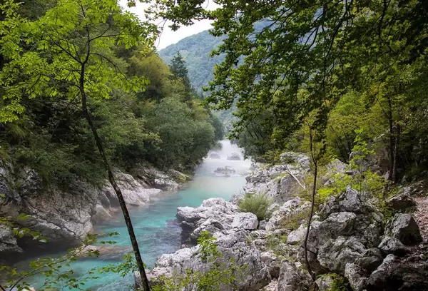 Kristallklares Wasser des türkisen Fluß Soca, zwischen Felsen und Wald
