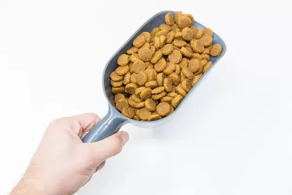 Krokette für den Hund: Hand hält Schaufel mit Hundefütter vor weißem Hintergrund