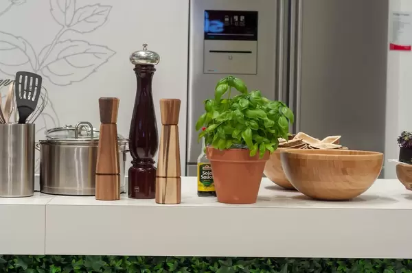 Küchenbedarf: Salzmühlen, Pfeffermühlen, Töpfe, Gewürzpflanzen, Schüssel aus Holz