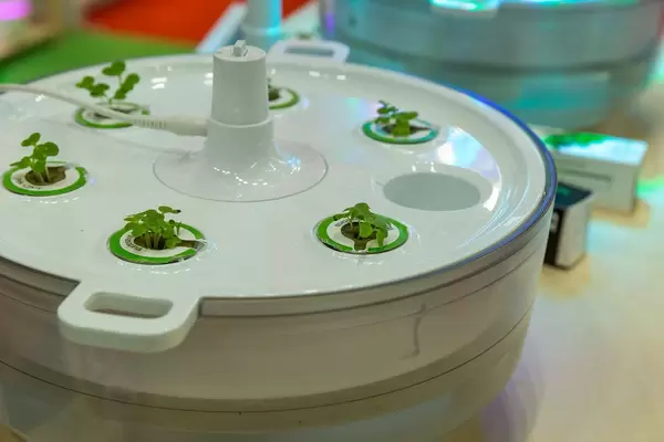 Küchengarten Plantui hydroponischer Indoor Smart Garden für Zuhause, mit Samenkapseln
