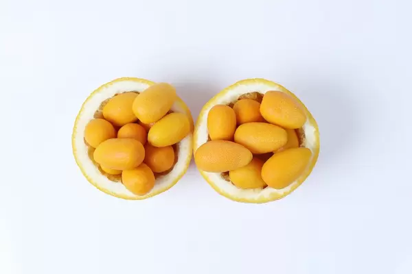 Kumquats in two orange peels, white background