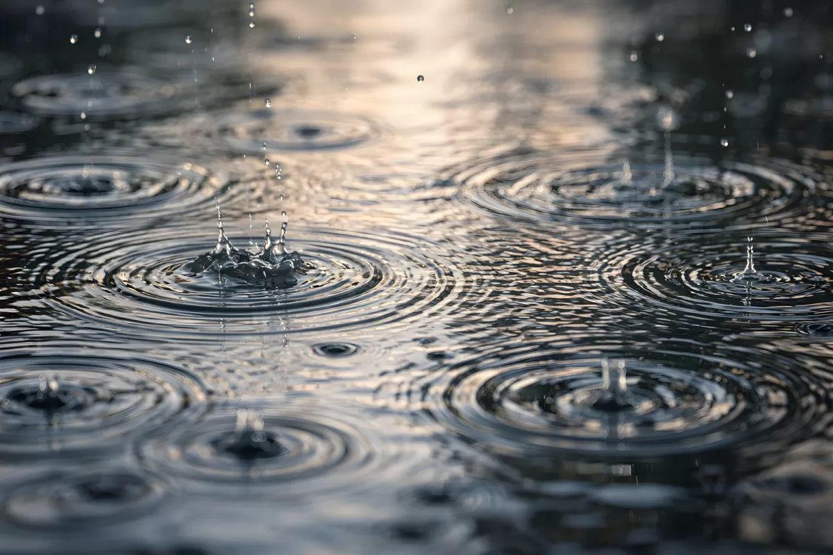 Kunst der Wassertropfen: Abstrakte Regenrinnen im Licht