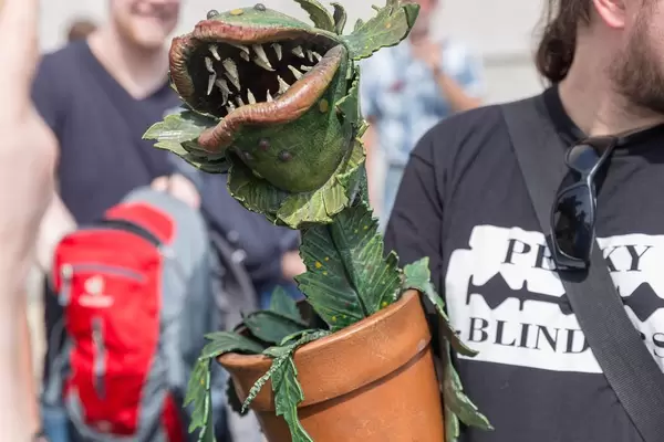 Künstliche fleischfressende Pflanze im Topf
