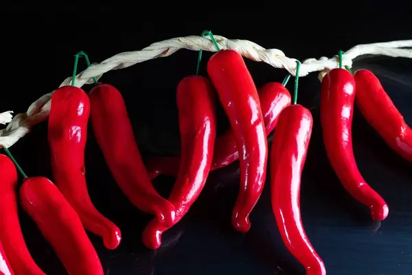 Künstliche Peperoni-Chilischoten, aufgehängt vor schwarzem Hintergrund