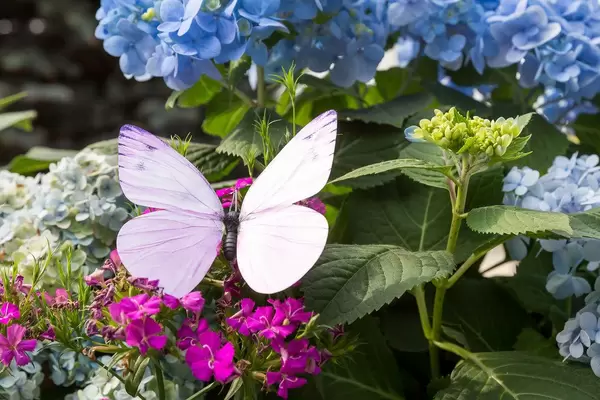 Künstlicher Schmetterling