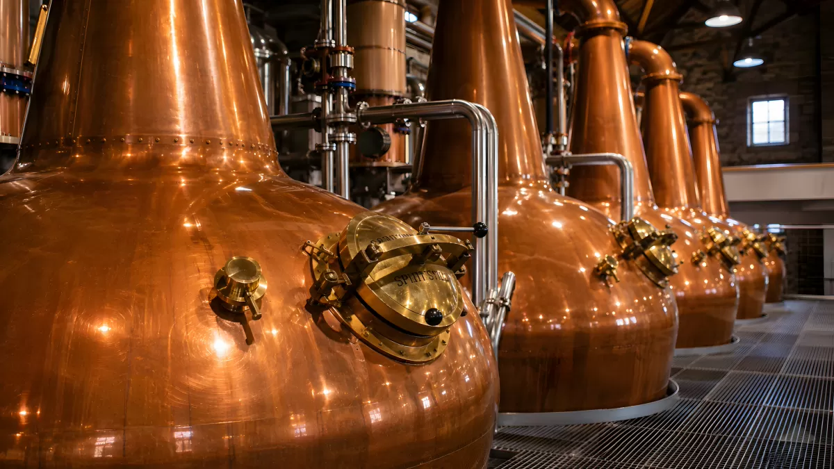 Kupferne Destillierkolben in einer Whisky-Brennerei