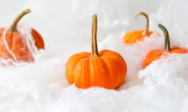 Kürbisse und weiße Spinnennetze zu Halloween