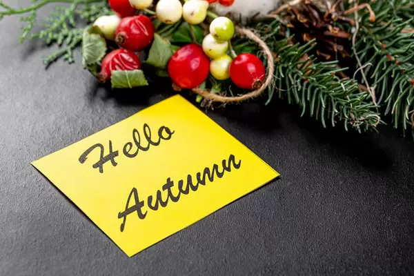 Kursive Hello Autumn Schrift auf gelbem Papier an der Seite von Tannenzweig und Hagebutte auf schwarzem Hintergrund