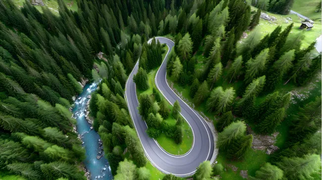 Kurvenreiche Bergstraße durch satten Nadelwald in Österreich