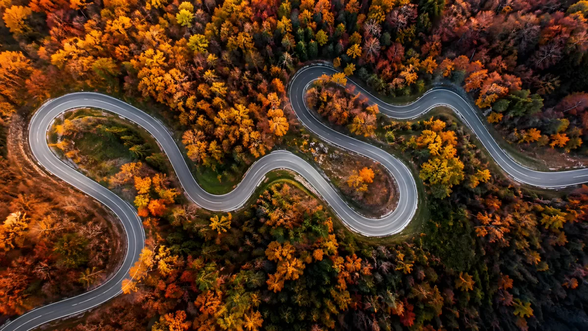 Kurvenreiche Straße durch bunten Herbstwald von oben