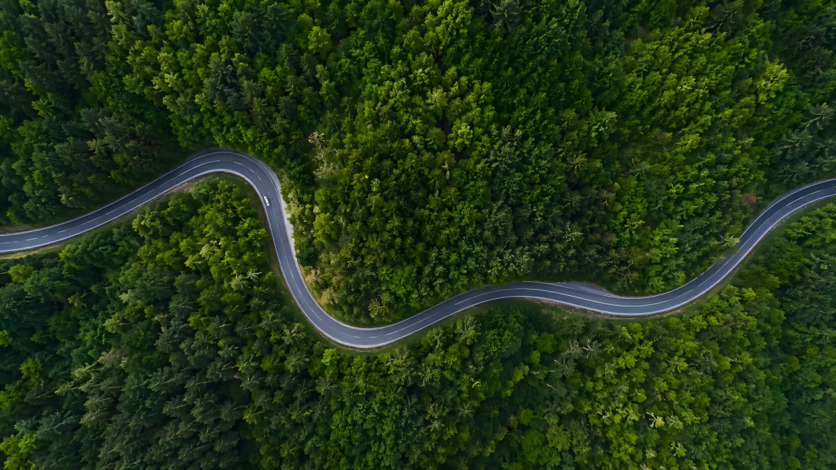 Kurvenreiche Straße schlängelt sich durch grünen Wald