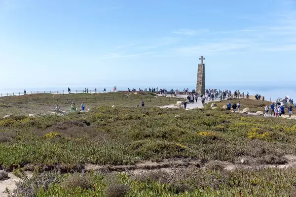 Küstenvegetation am Cabo da Roca