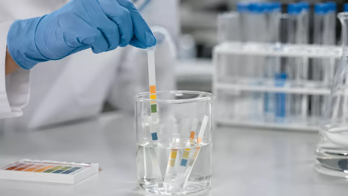 Laborant testet pH-Streifen in Becherglas mit Wasser