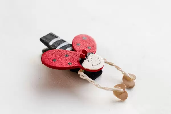 Ladybird Pinch, close up. Decorative object