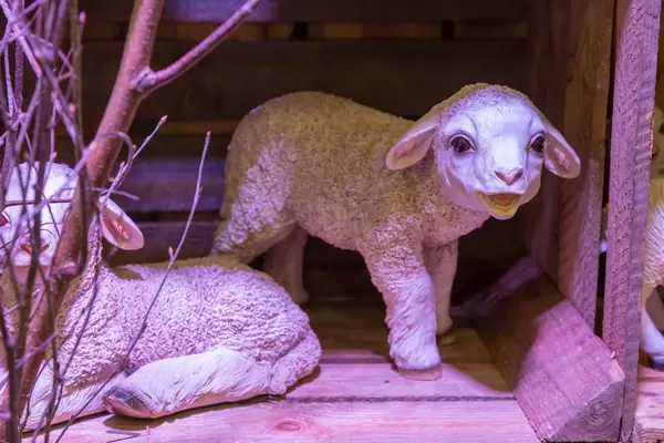 Lämmer-Figuren im Stall - IAW Köln 2018