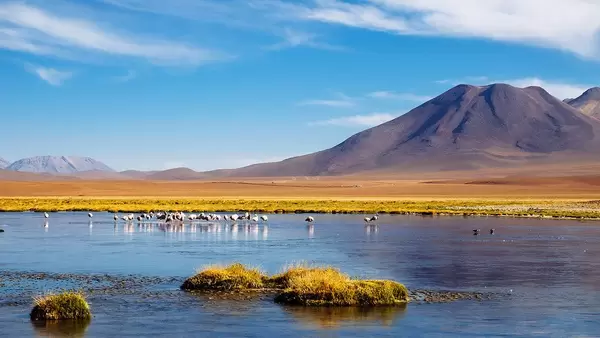 Landscape Nature Photo of Flamingos in Lake with Mountains in the Background at Valle De La Luna in Los Flamencos National Reserve, Chile