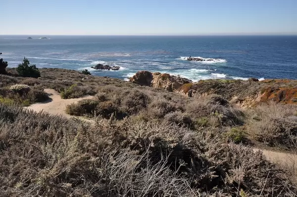 Landscape Nature Photo of West Coast, United States