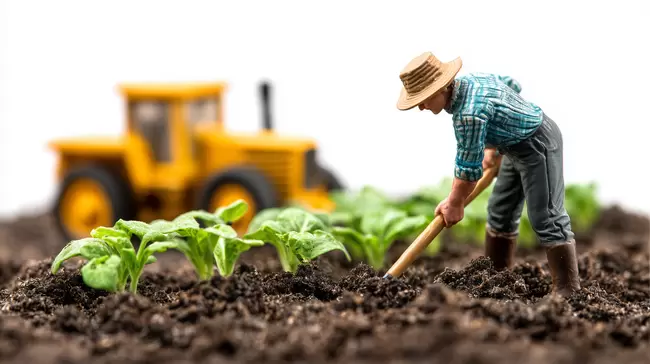 Landwirtschaft und Ackerbau: Traktor und Landwirt beim Anbau von Salat