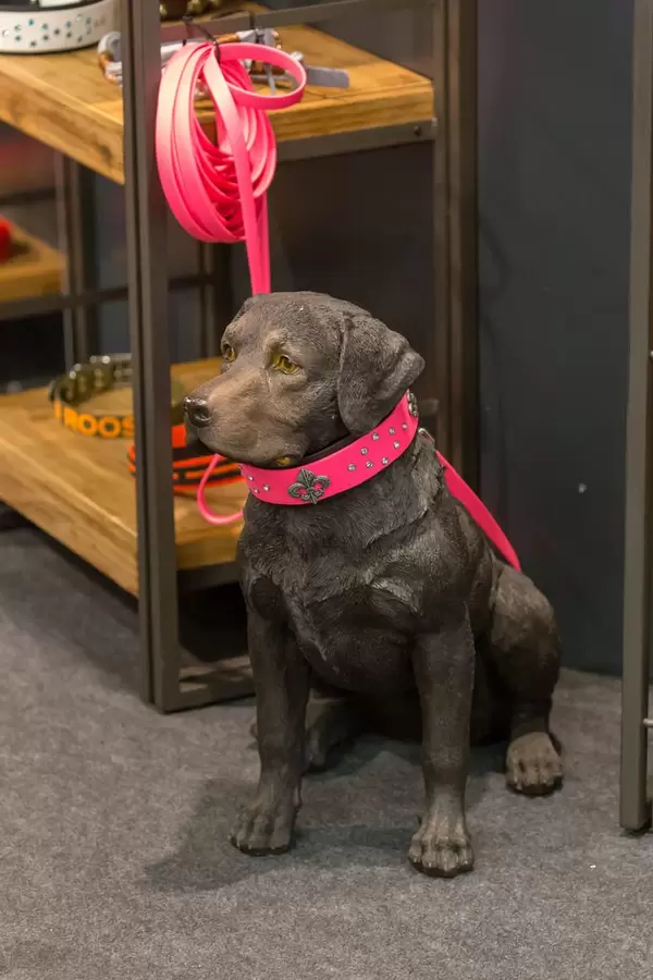 Lange, rosafarbene Hundeleine