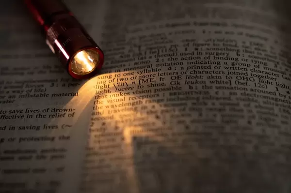Lantern pointing at the word LIGHT in a dictionary