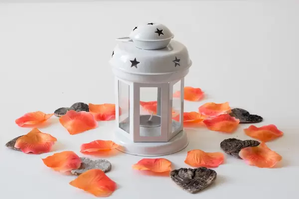 Lantern with flower leaves