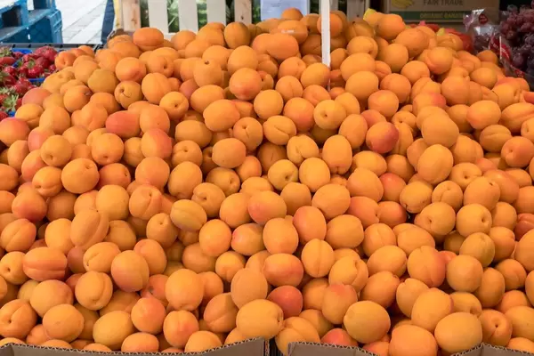 Large Boxes full of fresh apricots at a local market