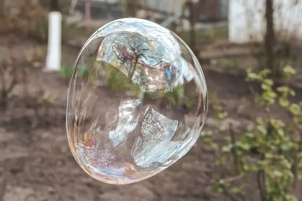 Large soap bubble on a natural background