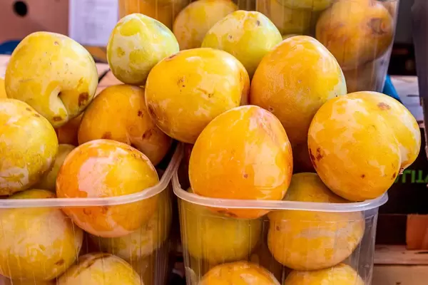 Large yellow plum background (Flip 2019)