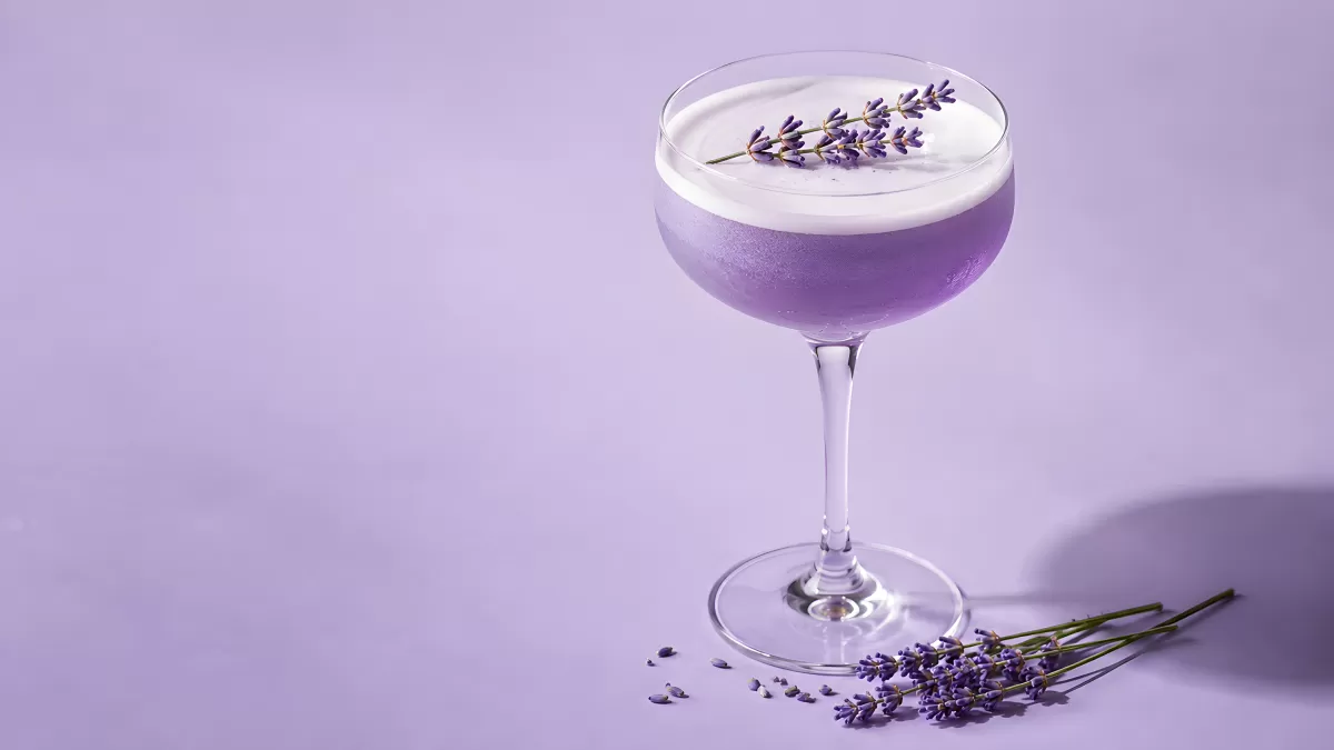 Lavendel-Cocktail im Coupéglas mit Schaumkrone
