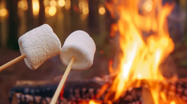 Leckere Marshmallows an loderndem Lagerfeuer