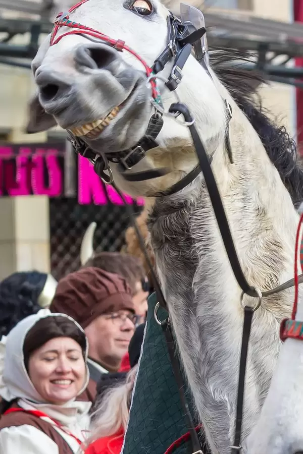 Leidendes Pferd (am Durchgehen?)