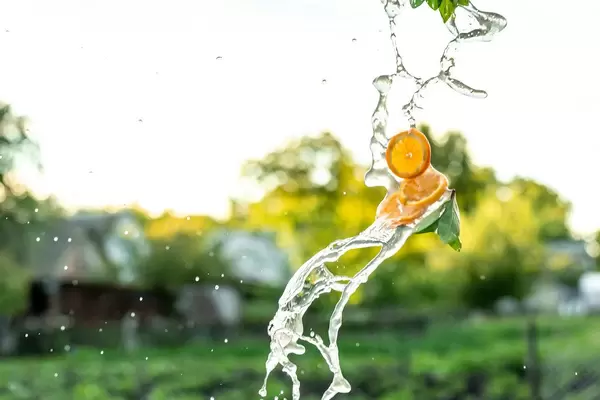 Lemonade splash with slices of orange and mint leaves