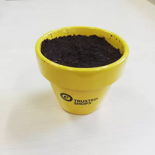 Let them grow. #trustedshops #growthacking #day0 #sonnenblume