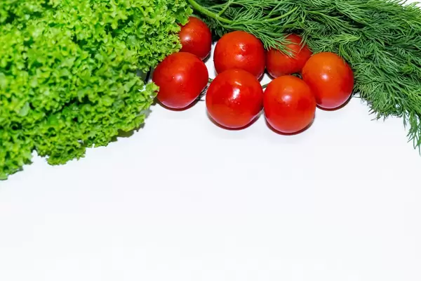 Leuchtend rote Tomaten vor Kraussalat und einem Strauch Dill auf weißem Hintergrund