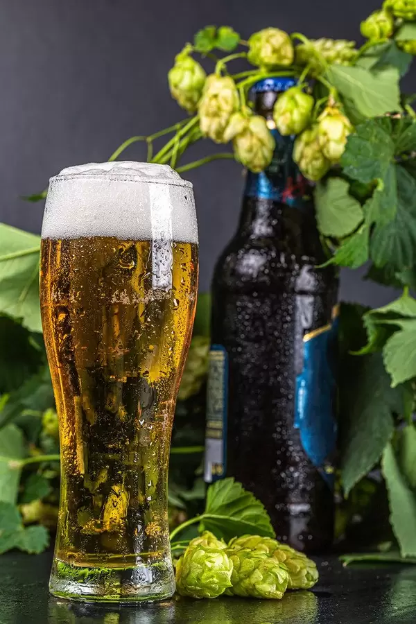 Light beer on black background with fresh hops and bottle