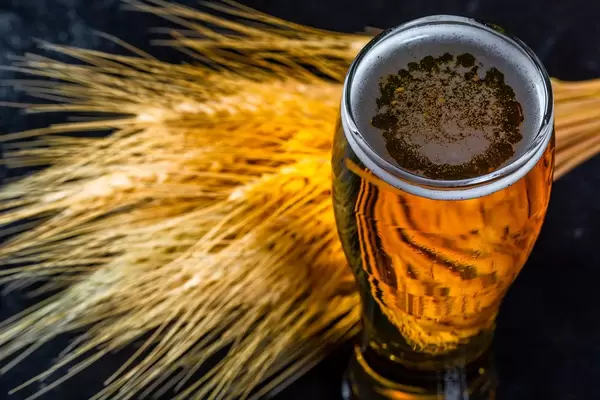 Light beer with wheat spikelets