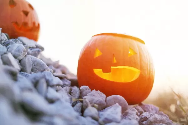 Lighted carved pumpkins on gravel (Flip 2019)