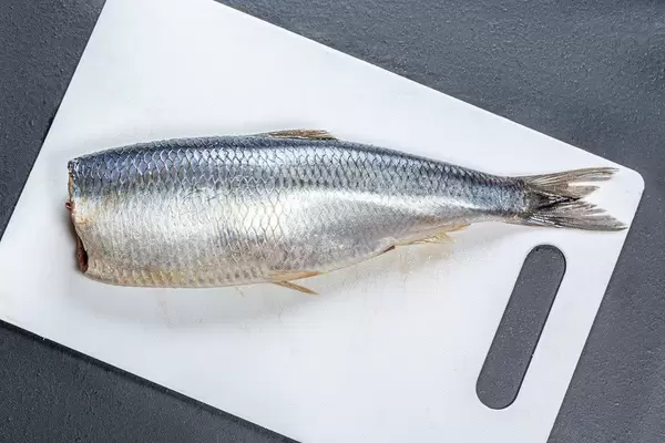 Lightly salted herring on a white kitchen Board. Top view