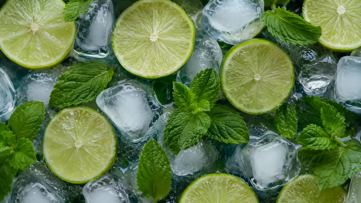 Limettenscheiben mit Minze und Eiswürfeln