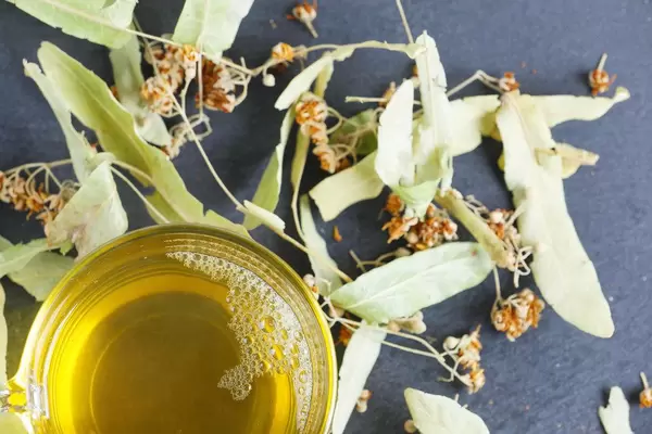 Linden tea of fresh flowers (Flip 2019)