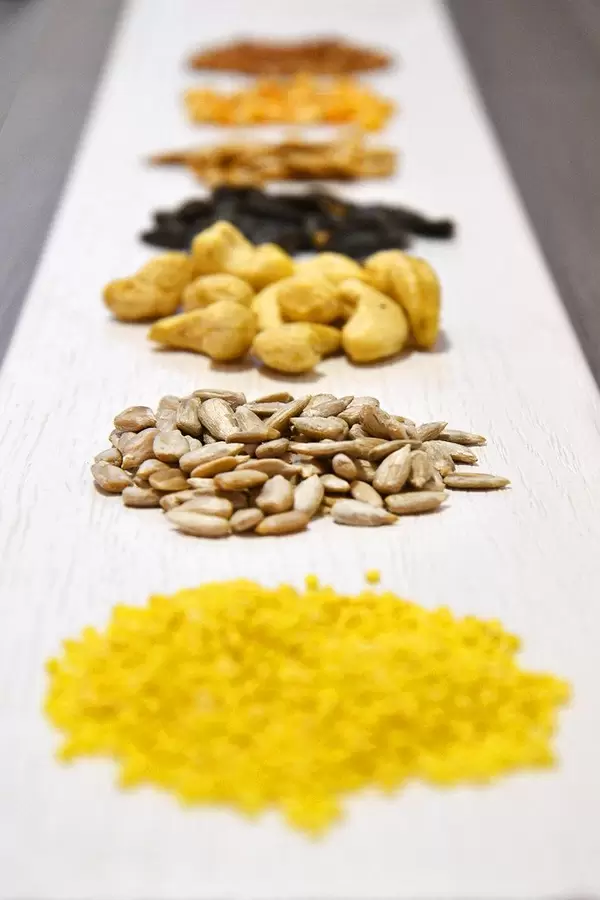 Lineup of spices and nuts: sunflower seeds and cashews