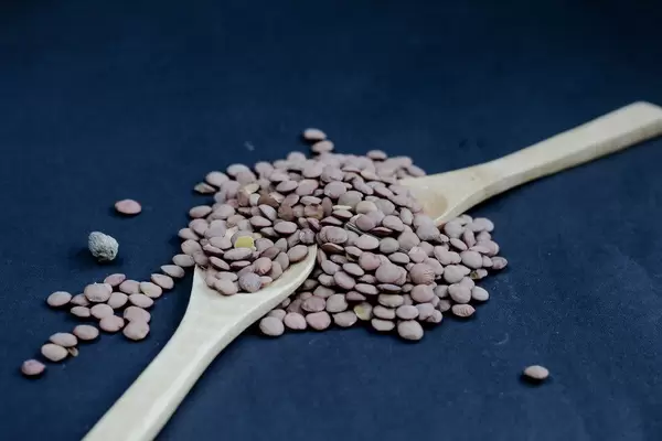Linsen auf einem Holzlöffel