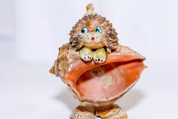 Lion of shells  Flip 2019