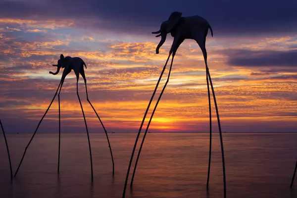 Long Exposure Shot of Elephants on Sticks at Sunset Sanato Beach Club at Golden Hour in Phu Quoc, Vietnam
