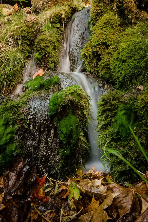 Long Exposure Waterfall.Forest Scene