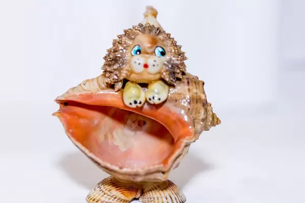 Löwe gefertigt aus verschiedenen Muscheln aus dem Meer vor weißem Hintergrund