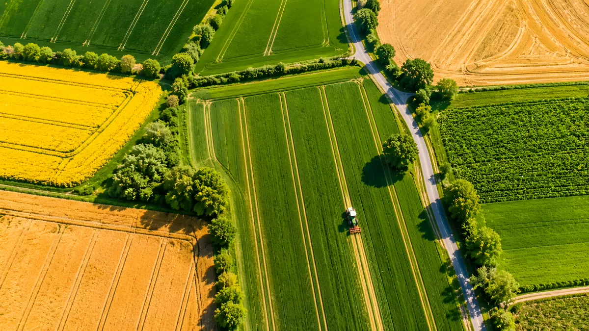 Luftaufnahme bunter Felder mit Traktor im Sommer